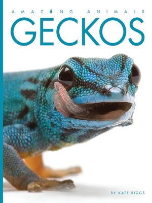 cover image of Geckos